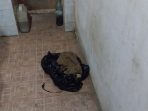 IMG-20230125-WA0083-1